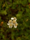 IMGP0084-1024~2.jpg