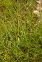 IMGP0115-1024~0.jpg