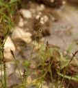 IMGP0118-1024~0.jpg