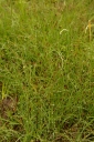 IMGP0120-1024~1.jpg