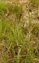 IMGP0125-1024~1.jpg