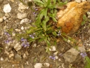 IMGP0133-1024~0.jpg