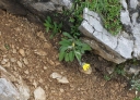 IMGP0218-1024~3.jpg