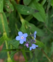 IMGP0223-1024~1.jpg