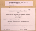 Název souboru=IMGP0230-1024~1.jpg
Velikost souboru=246KB
Rozměry=1024x889
Datum přidání=07. Březen 2018 IMGP0230-1024~1.jpg