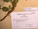 Název souboru=IMGP0245-1024~1.jpg
Velikost souboru=228KB
Rozměry=1024x796
Datum přidání=07. Březen 2018 IMGP0245-1024~1.jpg