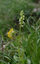 IMGP0256-1024~2.jpg