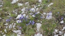 IMGP0278-1024~3.jpg
