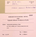 Název souboru=IMGP0285-1024~0.jpg
Velikost souboru=279KB
Rozměry=1014x1024
Datum přidání=07. Březen 2018 IMGP0285-1024~0.jpg