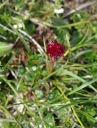 IMGP0299-1024~2.jpg