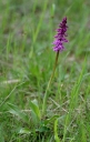 IMGP0824-1024~1.jpg