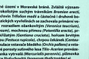 Název souboru=IMGP0902-1024~3.jpg
Velikost souboru=360KB
Rozměry=1024x680
Datum přidání=21. Duben 2020 IMGP0902-1024~3.jpg