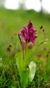 IMGP1130-1024.jpg
