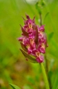 IMGP1159-1024.jpg