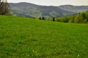 IMGP1244-1024.jpg