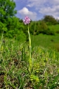 IMGP1356-1024.jpg