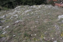 IMGP1746-1024.jpg