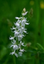 IMGP1790-1024~0.jpg