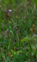 Název souboru=IMGP1857-1024.jpg
Velikost souboru=206KB
Rozměry=623x1024
Datum přidání=23. Květen 2017 IMGP1857-1024.jpg