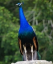 IMGP2472-1024~0.jpg
