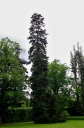 IMGP2477-1024.jpg
