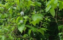 IMGP2486-1024.jpg