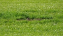 IMGP2834-1024.jpg