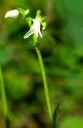 IMGP2975-1024.jpg