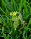 IMGP3240-1024.jpg