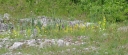 Název souboru=IMGP3484-1024.jpg
Velikost souboru=335KB
Rozměry=1024x445
Datum přidání=01. Červen 2015 IMGP3484-1024.jpg