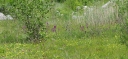 Název souboru=IMGP3495-1024~0.jpg
Velikost souboru=389KB
Rozměry=1024x475
Datum přidání=01. Červen 2015 IMGP3495-1024~0.jpg