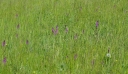 Název souboru=IMGP3588-1024~3.jpg
Velikost souboru=404KB
Rozměry=1024x594
Datum přidání=25. Květen 2020 IMGP3588-1024~3.jpg