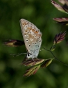 IMGP3915-1024~1.jpg