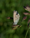 IMGP3917-1024~0.jpg