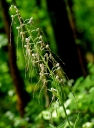 IMGP3975-1024.jpg