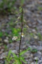 IMGP4141-1024.jpg