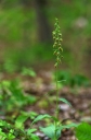 IMGP4375-1024~0.jpg