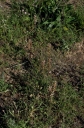 IMGP4523-1024.jpg
