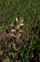 IMGP4527-1024.jpg