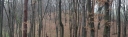 Název souboru=IMGP4559_panorama-1024.jpg
Velikost souboru=196KB
Rozměry=1024x303
Datum přidání=19. Listopad 2018 IMGP4559_panorama-1024.jpg