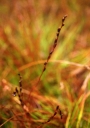 IMGP4600-1024~0.jpg