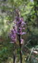IMGP4776-1024~1.jpg