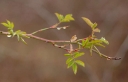 IMGP4924-1024~0.jpg