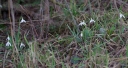 IMGP5028-1024~2.jpg