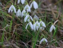 IMGP5033-1024~2.jpg