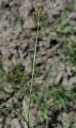 Název souboru=IMGP5091-1024~0.jpg
Velikost souboru=199KB
Rozměry=609x1024
Datum přidání=10. Květen 2018 IMGP5091-1024~0.jpg