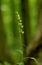 IMGP5178-1024~0.jpg