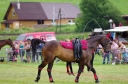 Název souboru=IMGP5379-1024.jpg
Velikost souboru=288KB
Rozměry=1024x678
Datum přidání=07. Červenec 2014 IMGP5379-1024.jpg