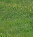Název souboru=IMGP5543-1024~4.jpg
Velikost souboru=541KB
Rozměry=935x1024
Datum přidání=02. Červenec 2019 IMGP5543-1024~4.jpg