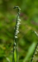IMGP5984-1024.jpg